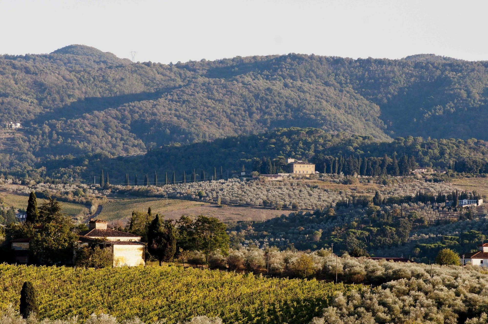 Villa Medicea Di Lilliano Grassina Eksteriør bilde